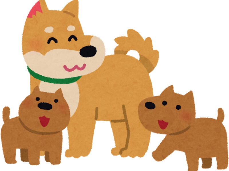 Brown mother dog and 2 brown puppies